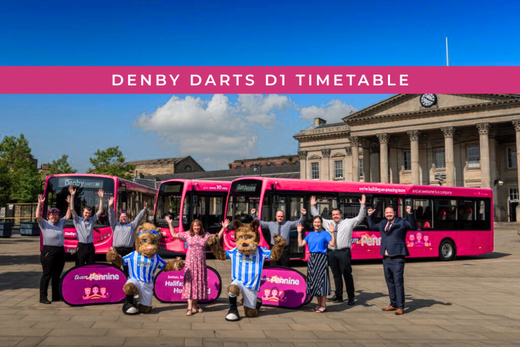 Denby Darts D1 Timetable Stops Schedule and Travel Tips red porphyry granite